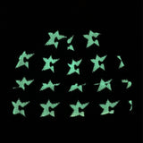 Carpet - Glow in the Dark C-Star Beanie